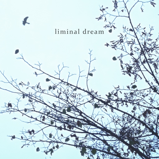 cover art for Liminal Dream